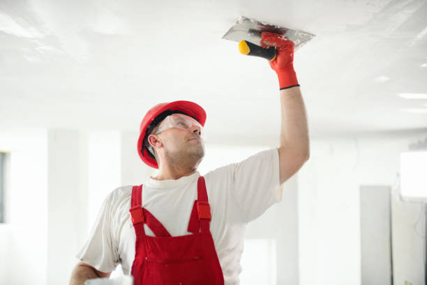 Best Water Damage & Mold Remediation  in Flence, OR