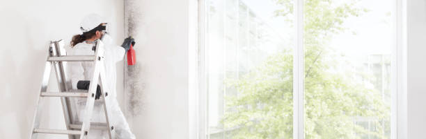Best Biohazard Mold Removal  in Flence, OR