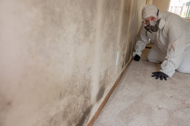 Mold Removal for HVAC Installations in Florence, OR